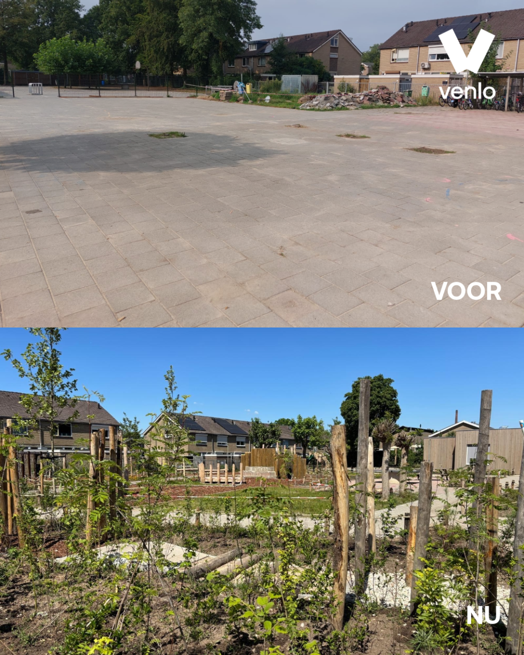 voor en na van het schoolplein waar voor veel tegels te zien zijn en na voornamelijk groen