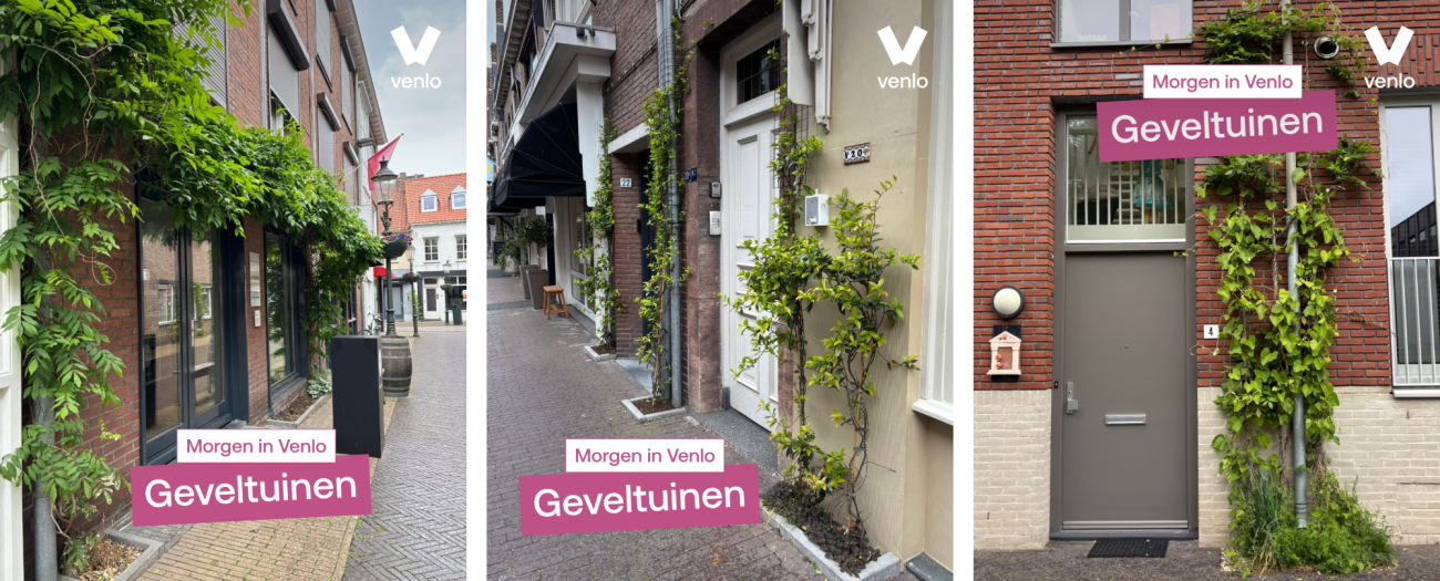 Drie geveltuinen in de gemeente Venlo