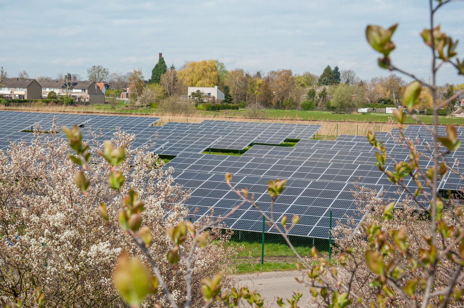 Zonnepanelen park