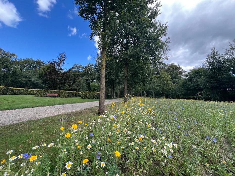 De begraafplaats in Venlo