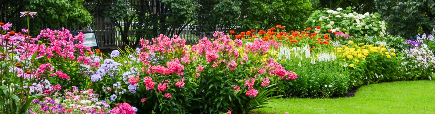 Bloemen in de tuin 