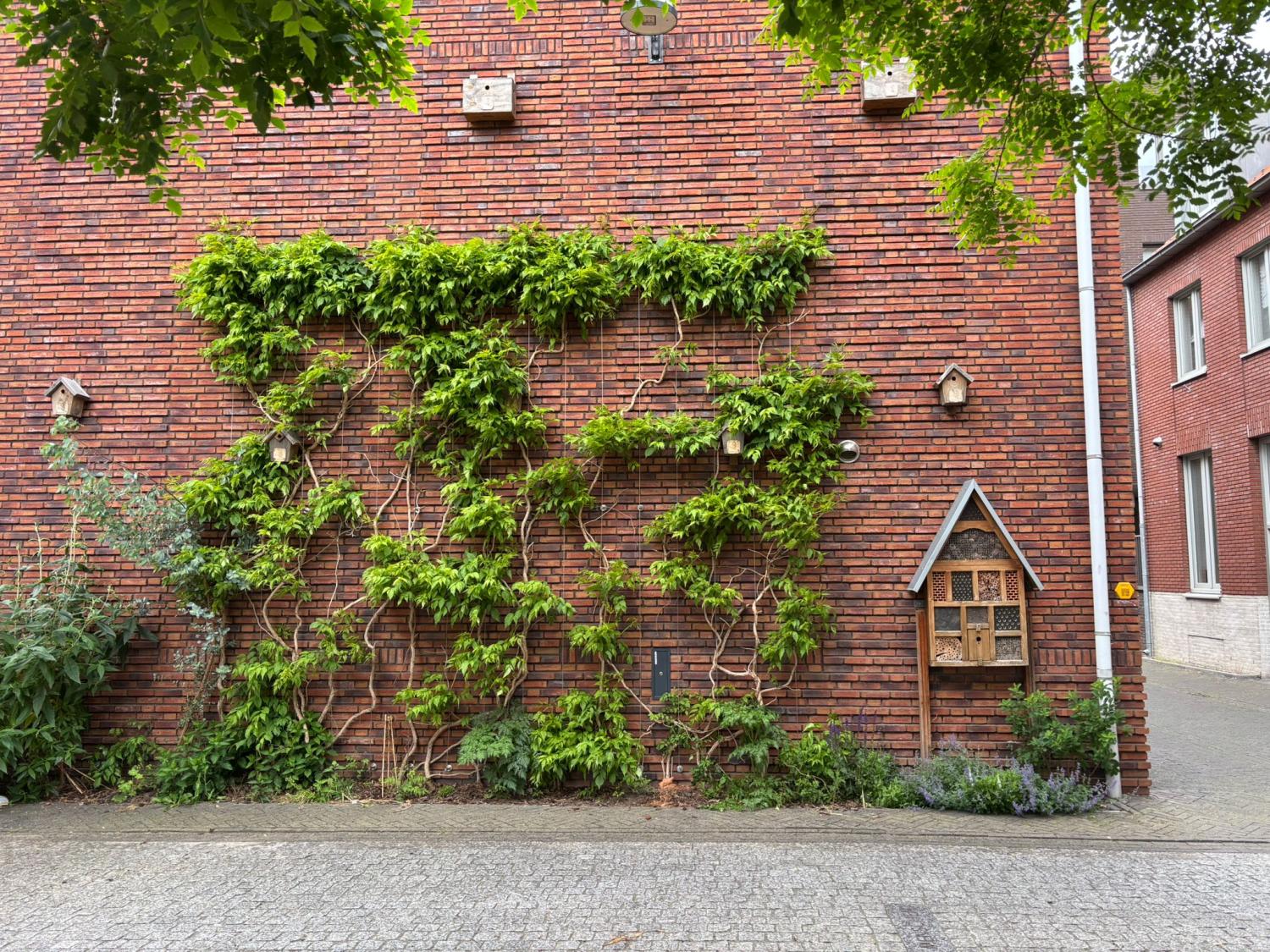 Geveltuin met een vogelhuisje