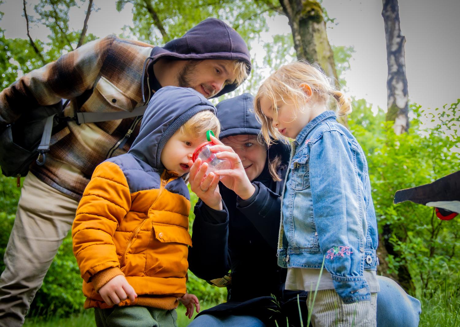 twee volwassenen en twee kinderen die samen een plastic doosje bekijken waar een beestje uit het bos in kan