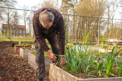 Man in groentetuin
