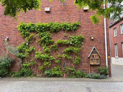 Geveltuin met een vogelhuisje
